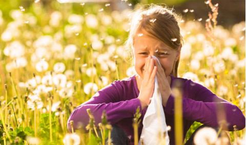 Saiba o que fazer com as alergias na Primavera!