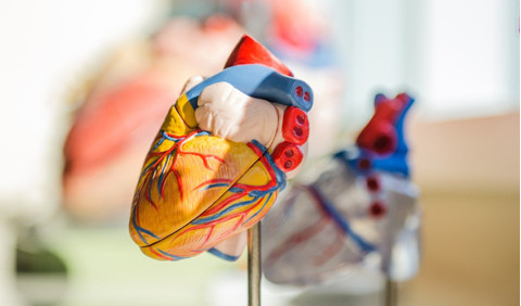 Doenças cardiovasculares - Quais os fatores de risco?