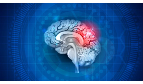 Quais são os sintomas de um AVC? Aprenda a identificá-los e saiba o que fazer!