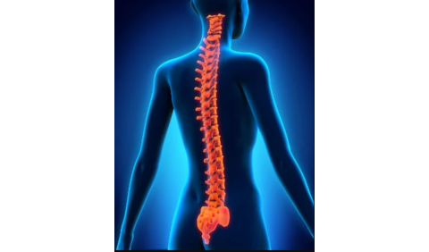 Coluna vertebral: a importância de cuidar da saúde