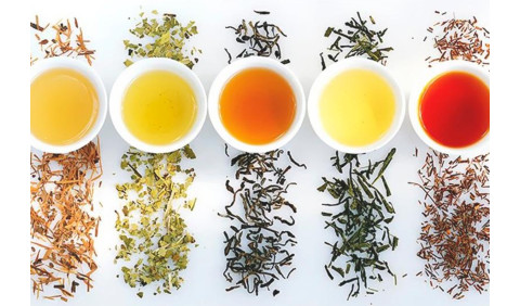 A Importância do Chá na Nossa Saúde e os Diferentes Tipos e Benefícios