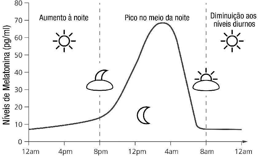 SABIA QUE A MELATOTINA É A HORMONA NATURAL QUE NOS AJUDA A REGULAR O SONO?